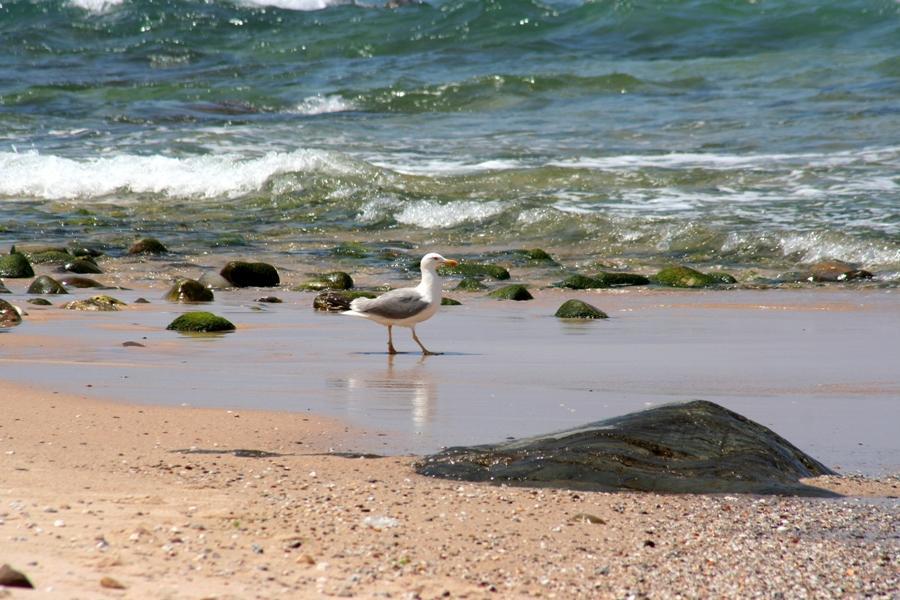 Refugio Da Praia - Seaside & Nature Porto Covo Zewnętrze zdjęcie